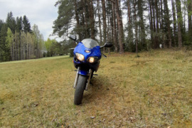 Suzuki SV, Sportinis motociklas