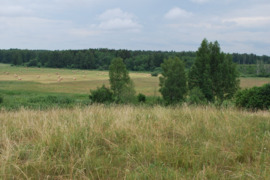 Žemės ūkio paskirties sklypas Anykščių rajone