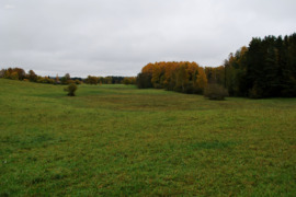 PARDUODAMAS ŽEMĖS SKLYPAS 1,9548 HA.. ZARASŲ RAJ., DUSETŲ SEN., PAŠILĖS K.