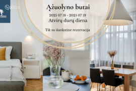 3 kamb. butas Kaunas, Žaliakalnis, P. Vileišio g.