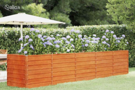vidaXL Aukštas sodo lovelis, rūdžių, 400x80x77cm, Corten plienas