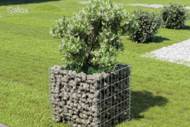 vidaXL Gabiono vazonas, galvanizuotas plienas, 50x50x50cm, aukštas