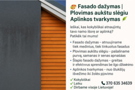 Atliekame šiuos darbus