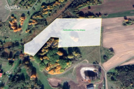 310.00 a sklypas Širvintų r. sav., Pociūnai
