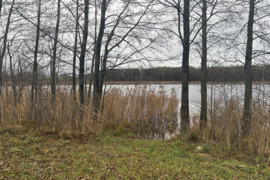 225 a sklypas Lazdijų r. sav., Šadžiūnai (Veisiejų sen.), Ilgio g.