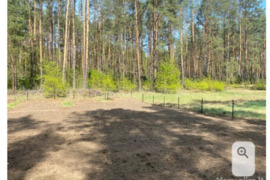 5 a sklypas Druskininkų sav., Naujasodė, Dvarlaukio g.