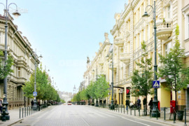 1 kamb. butas Vilnius, Senamiestis, Gedimino pr.