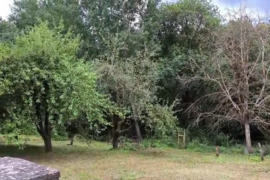 Sklypas sodų bendrijoje 
