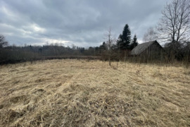 1.03 a sklypas Trakų r. sav., Čižiūnai, Aukštadvario g.
