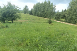 Parduodamas   22 arų   Sklypas Sudervės sen. Dambriškių kaime