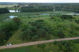 87 a sklypas Lazdijų r. sav., Sapiegiškiai
