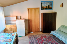 Tvarkingas 1 kambarys Žaliakalnyje, Vydūno al.