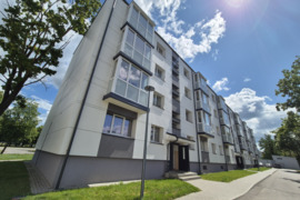 JAUKUS BUTAS SU ELEKTRINIU ŽIDINIU