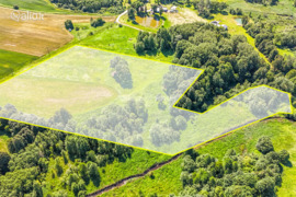 310.00 a sklypas Širvintų r. sav., Pociūnai