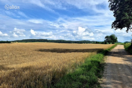 1551.21 a sklypas Lazdijų r. sav., Sutrė