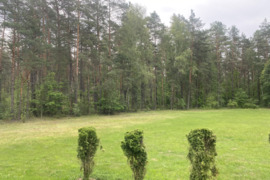 33.92 a sklypas Druskininkų sav., Druskininkai, M. K. Čiurlionio g.