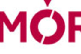 GAMYBOS OPERATORIUS (-Ė)