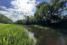 PARDUODAMAS SODO SKLYPAS SU NAMU PRIE UPĖS!