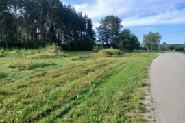 7 a sklypas Druskininkų sav., Jaskonys, Vienkiemių g.