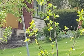Sodo namas Kauno r. sav., Gervėnupis, Lakštučių g.