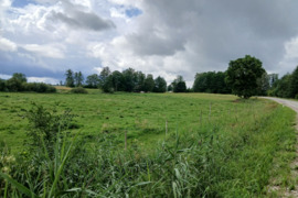 90 a sklypas Lazdijų r. sav., Saltoniškė, Šlavantėlio g.