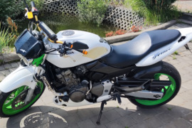 Honda Hornet, Klasikinis - Streetbike motociklas