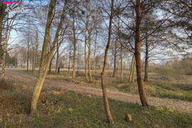 11.07 a sklypas Šilutės r. sav., Šyša, A. Dėvilaičio g.