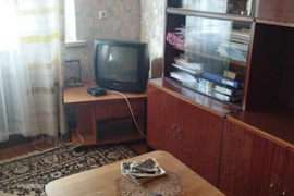 Parduodamas namas su žemės sklypu, garažu, ūkiniu pastatu miesto centre