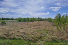 4,8009 ha sklypas Pamierio k., Kaišiadorių r. sav.