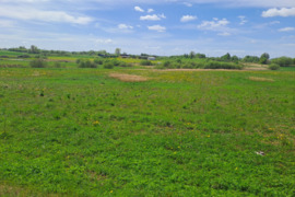 163.02 a sklypas Kaišiadorių r. sav., Baniškės
