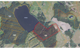 13,5 Ha sklypas Telšių raj ant Baltežerio kranto