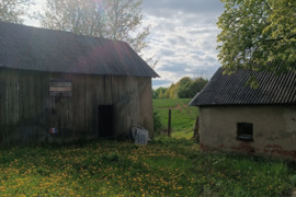Žoles pjovimas trimeriu kaina 4eu aras