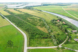 50.05 a sklypas Šilutės r. sav., Minija, Upaičio g.