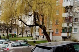 Butas Šilutėje Kęstučio g. 2 su holu