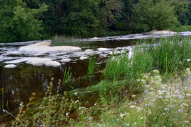 Namo dalis Panevėžys, Senamiesčio g.