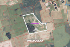 PARDUODAMAS SKLYPAS BŪTENIŲ KM TAURAGĖS RAJ.