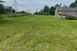14 a sklypas Šilalės r. sav., Pajūris, Dariaus ir Girėno g.