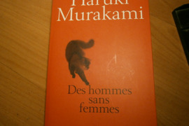 Knyga Haruki Murakami 