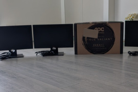 Dell 22
