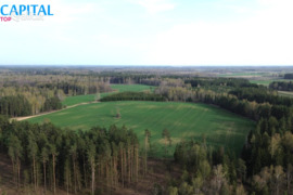 1190.0 a sklypas Rokiškio r. sav., Šilelis