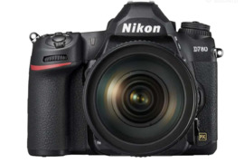 Nikon D780 + Sigma 24-70mm f/2.8 Dg OS Hsm Art