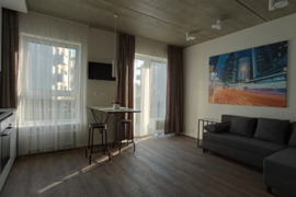 Nuomojamas 1 kambario butas Aleksote Parko Apartamentuose