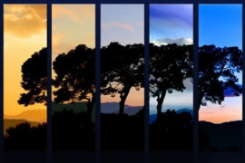 Ieškau pagalbinių darbų Vilkaviškyje