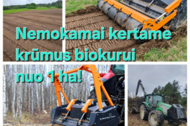 Apleistų sklypų tvarkymas ir kelmų frezavimas