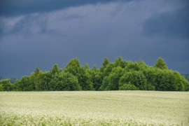 Nuo 10 a iki 1000 a sklypą, Klaipėdos r. sav.