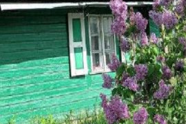 Parduodamas medinis namas Gražuliškų k. su erdviu 50 arų