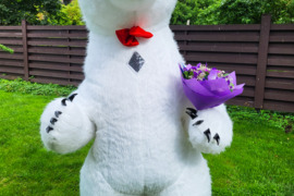 Baltos meškos sveikinimas