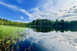 Labai ramioje vietoje, apie 12 min, automobiliu nuo Švenčionių miesto, parduodamas SKLYPAS SU EŽERO 