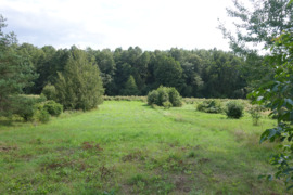 Žemės sklypas gamtos apsuptyje