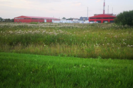 100 a sklypas Šiauliai, Šiauliai, Daubos g.